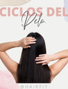 CICLO DE CRECIMIENTO DEL PELO